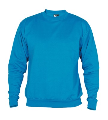 SUDADERA NEW CLASSIC COLOR S-2XL